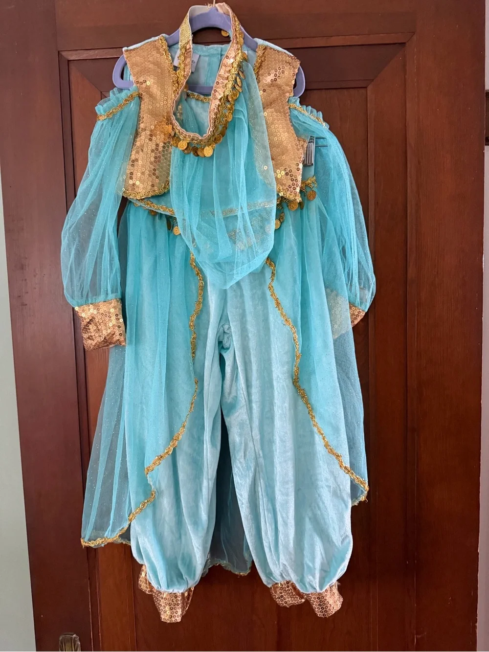 Kids Shimmery Teal Genie/Jasmine Costume with Gold Trim